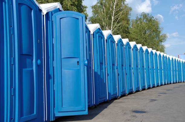 Portable Toilet Options We Offer in Lily Lake, IL